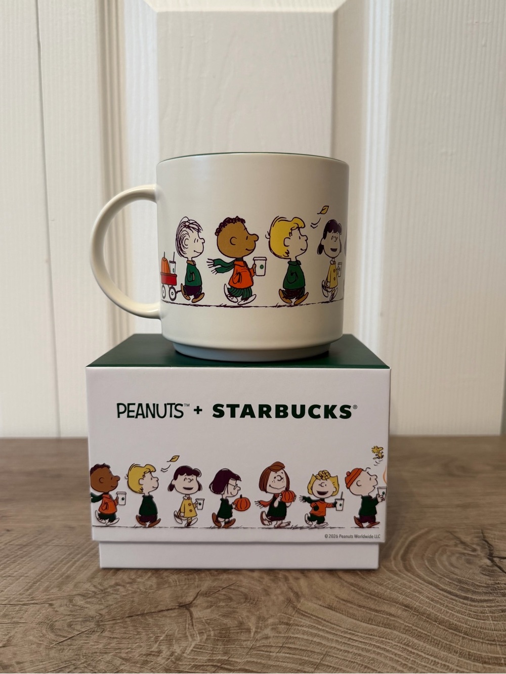 Starbucks x Peanuts Snoopy 14-ounce Ceramic Mug 2026 - In Hand